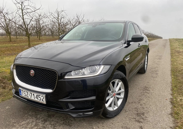 Jaguar F-Pace cena 79999 przebieg: 186000, rok produkcji 2016 z Staszów małe 704